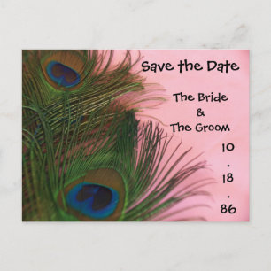 Carte Postale Faire-part Plumes de paon rose tendre Enregistrez la date