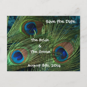 Carte Postale Faire-part Plumes de Paon Vert Enregistrer la Date