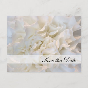 Carte Postale Faire-part Quinceañera florale blanche Sauvez la date