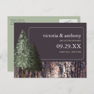 Carte Postale Faire-part Redwoods & Bark, Mariage rustique Enregistrer la d