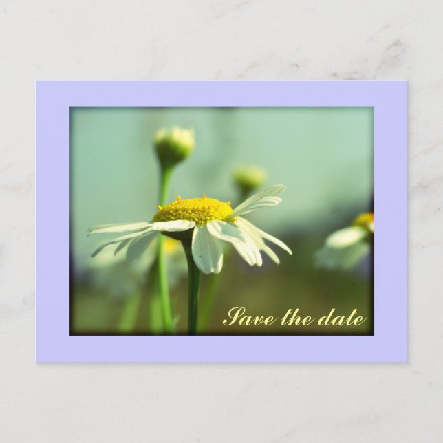 Carte Postale Faire-part Réservez la date (Devant)