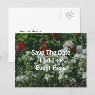 Carte Postale Faire-part Réservez la date Jardin de fleurs de Phlox d'Hibis