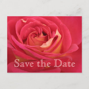Carte Postale Faire-part Rose Enregistrez la date 60e anniversaire -
