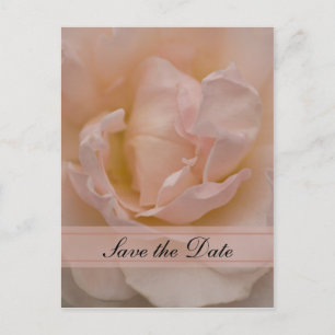 Carte Postale Faire-part Rose Floral Quinceañera Enregistrer la date
