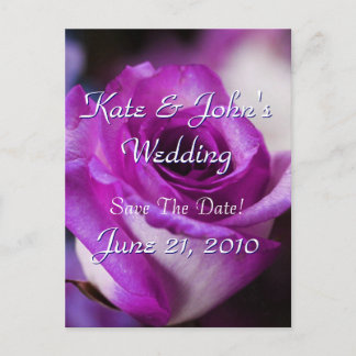 Carte Postale Faire-part Rose pourpre