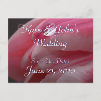 Carte Postale Faire-part Rose rose