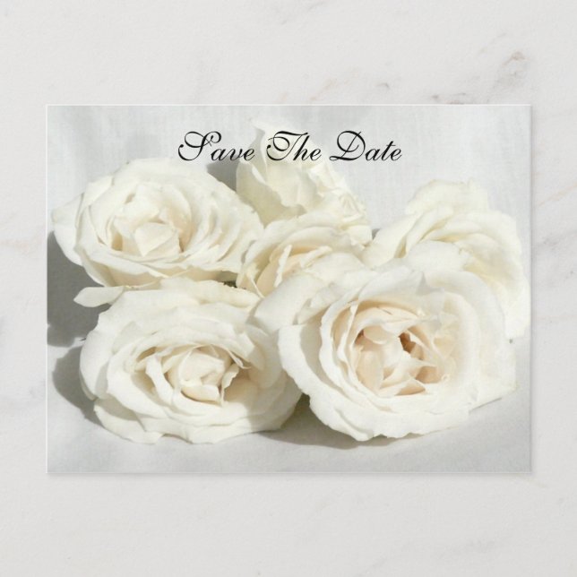 Carte Postale Faire-part Roses sur Linen (Devant)