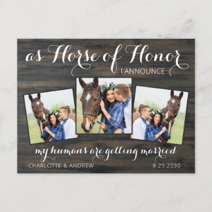 Carte Postale Faire-part Rustic Country Mariage équestre Horse 3 Photo