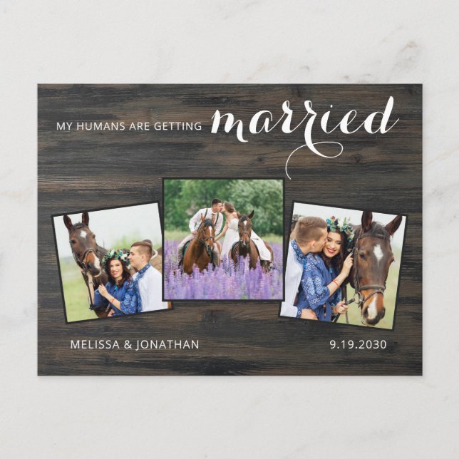 Carte Postale Faire-part Rustique 3 Photo Horse Mariage Animaux De Compagni (Devant)