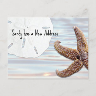 Carte Postale Faire-part Sable Dollar Starfish Wood Beach Nouvelle adresse