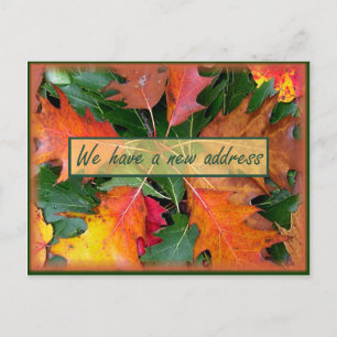 Carte Postale Faire-part Saison Automne Chêne Feuilles Moving