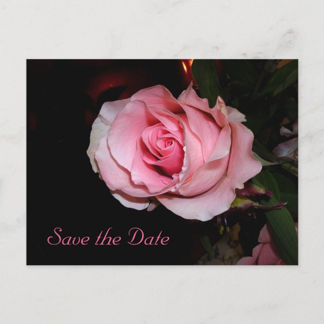 Carte Postale Faire-part Sauvegarder la date (Devant)