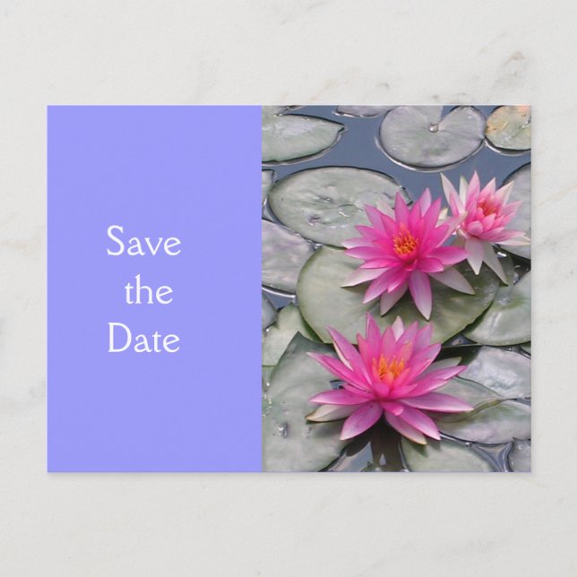 Carte Postale Faire-part Sauvegarder la date (Devant)