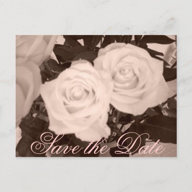 Carte Postale Faire-part Sauvegarder la Date (Devant)