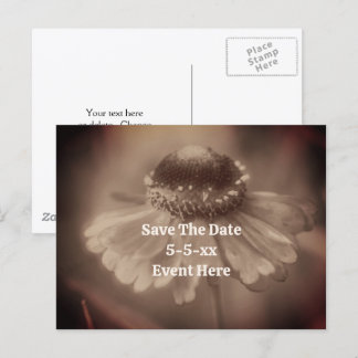 Carte Postale Faire-part Sauvegarder la date vintage sépia fleur de Zinnia 
