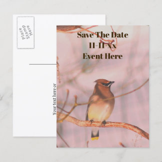 Carte Postale Faire-part Sauvegarder la date Waxwing Nature Personnalisé
