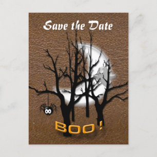 Carte Postale Faire-part Sauver la date