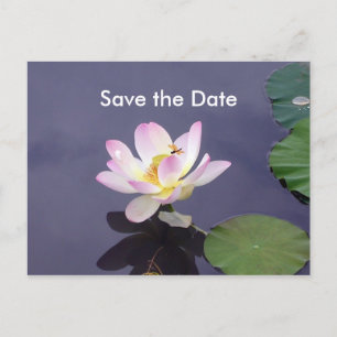 Carte Postale Faire-part Sauver la date