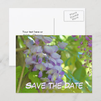 Carte Postale Faire-part Sauver la date Fleur de glycine 