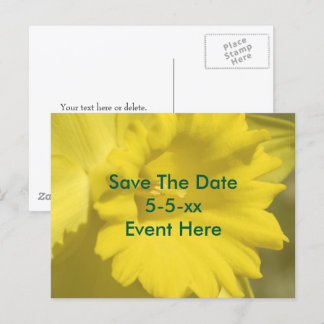 Carte Postale Faire-part Sauver la date Fleur de jonquille jaune 