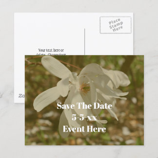 Carte Postale Faire-part Sauver la date Fleur de magnolia blanche 