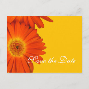 Carte Postale Faire-part sauver la date, fleurs de gerbera