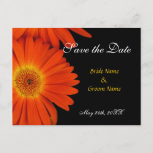 Carte Postale Faire-part sauver la date, gerbera marguerite