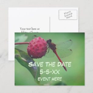 Carte Postale Faire-part Sauver la date Libellule rouge Nature