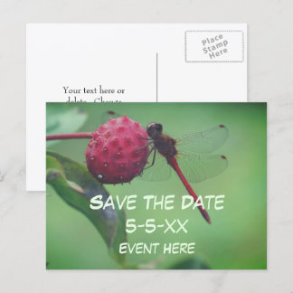 Carte Postale Faire-part Sauver la date Libellule rouge Nature 