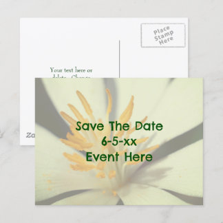 Carte Postale Faire-part Sauvez la date Bloodroot Flower 
