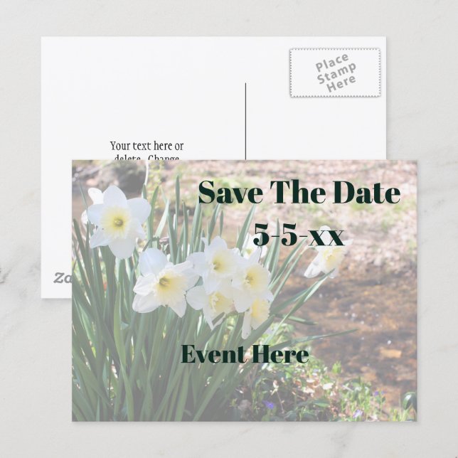 Carte Postale Faire-part Sauvez la date Fleurs de narcisse blancs (Devant / Derrière)