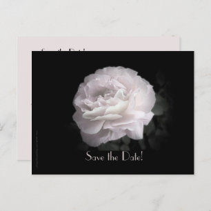 Carte Postale Faire-part Save the Date 60th Anniversary Party Elegant Rose 