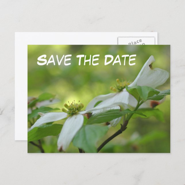Carte Postale Faire-part Save The Date Dogwood Flower Photo  (Devant / Derrière)