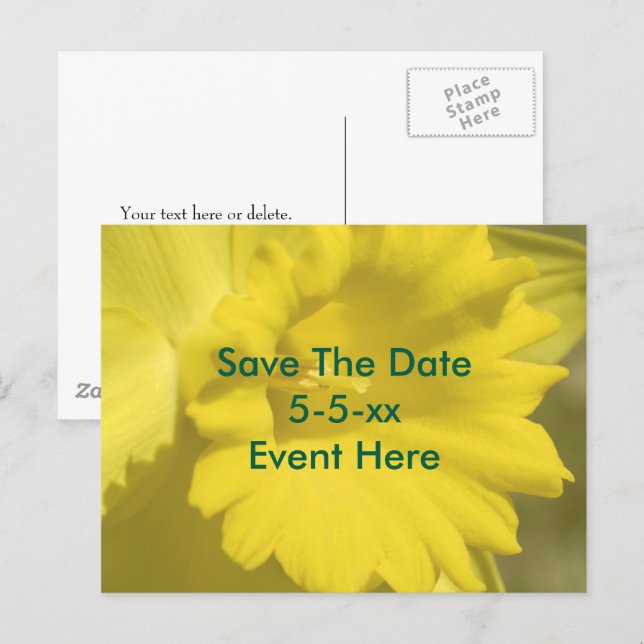 Carte Postale Faire-part Save The Date Yellow Daffodil Flower  (Devant / Derrière)