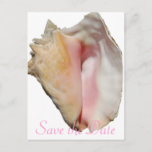 Carte Postale Faire-part Seashell Conch Beach Wedding