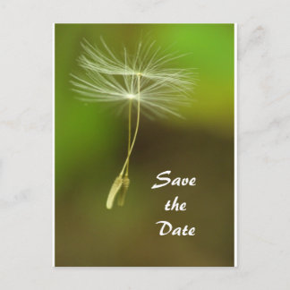 Carte Postale Faire-part Sentez libre - Flying Dandelion seed