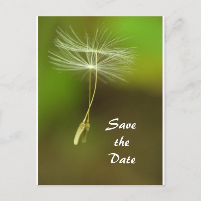 Carte Postale Faire-part Sentez libre - Flying Dandelion seed (Devant)