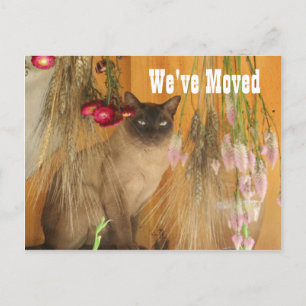 Carte Postale Faire-part Siamese Cat Nouvelle adresse
