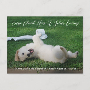 Carte Postale Faire-part Silver Lining Photo Pet Adoption Announcement