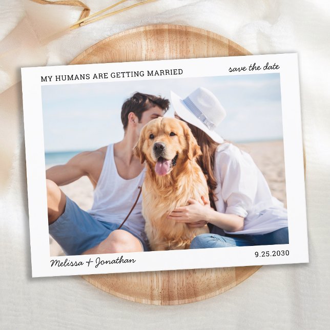 Carte Postale Faire-part Simple Mon Humain Se Marier Animal Mariage Photo (Créateur téléchargé)