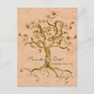 Carte Postale Faire-part Swirl Tree Roots Antiquité Parchemin Mariage Enreg