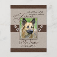 Sympathie pour animal de compagnie