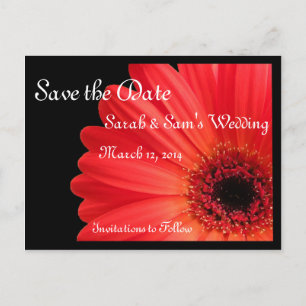 Carte Postale Faire-part Thème Gerbera Daisy Enregistrer la date