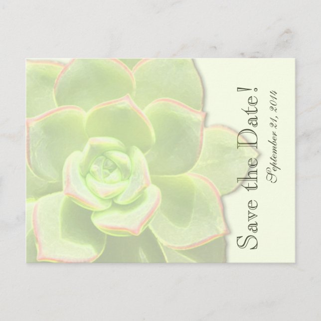 Carte Postale Faire-part Translucide vert Succulent enregistrer la date (Devant)