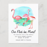Troupe de flamants tropicaux déplacés Nouvelle adr