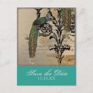 Carte Postale Faire-part Vintage Peacock 6 Notes de musique Candelabra Swir