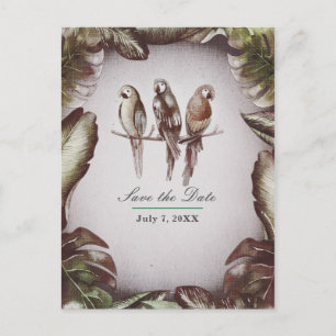 Carte Postale Faire-part Vintage Tiki Birds Parrots Enregistrer la date