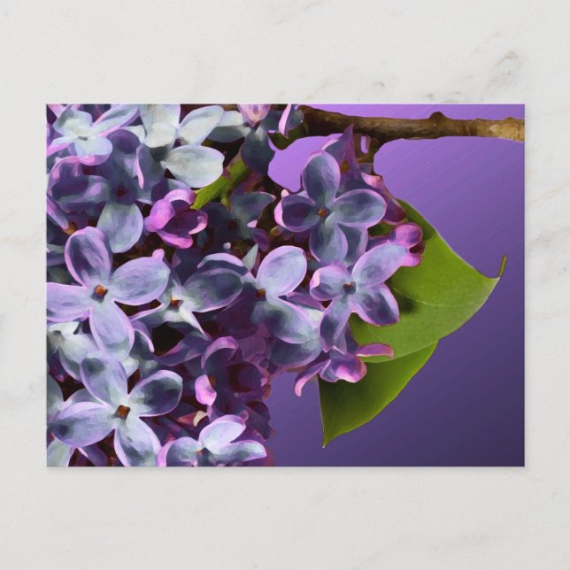 Carte Postale Faire-part Violet Lilac Photo Mariage Enregistrer Les Dates (Devant)