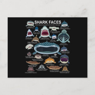 Carte Postale Faire-part Visages de requin Quel visage voulez-vous rencontr