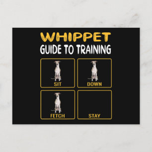Carte Postale Faire-part Whippet Guide Pour L'Entraînement De L'Obéissance 
